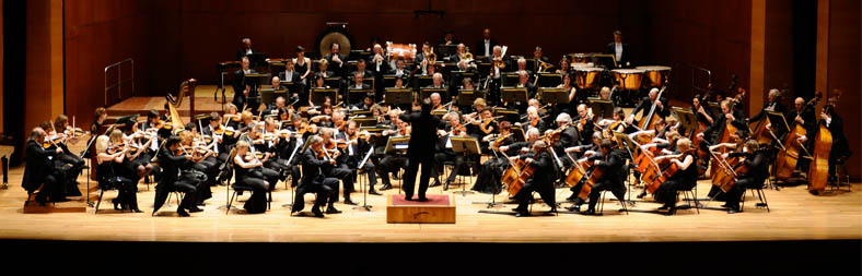 Guía de Orquesta para Jóvenes