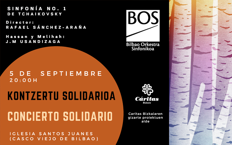 Concierto Solidario